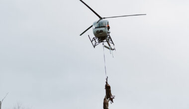 Landowners in crosshairs over feral deer