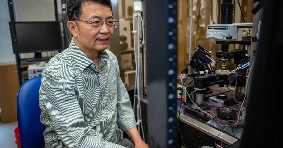 Restoring mitochondria shows promise for treating chronic nerve pain