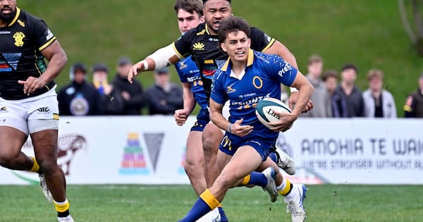 Huge blow for Pledger as young halfback is ruled out for 12 months