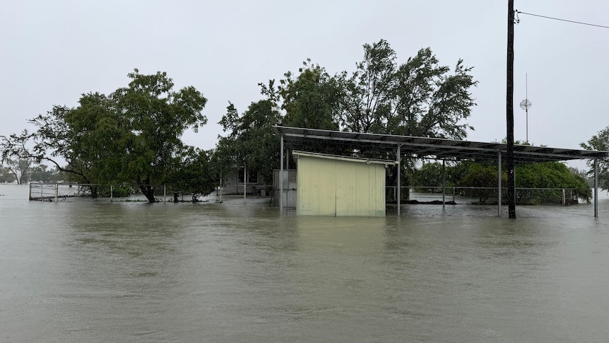 Flood warnings remain in Queensland - Australian Broadcasting Corporation