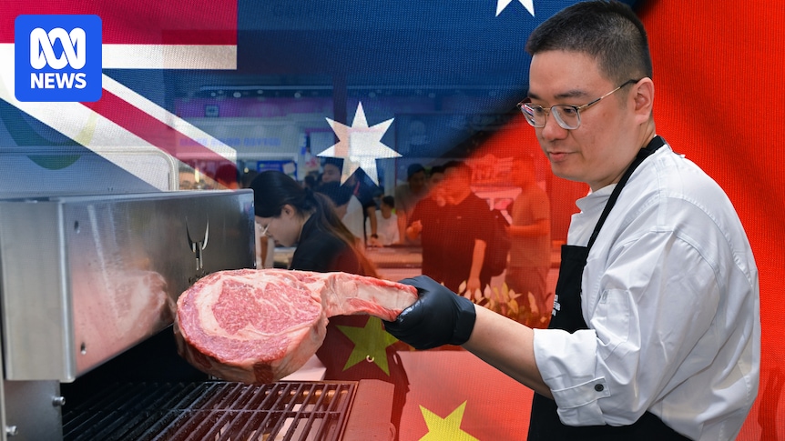 Australian meat industry warns China's new beef tariff impact will be 'severe'