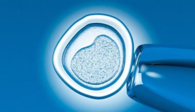 Maternal DNA Linked to Chromosome Errors in IVF Embryos