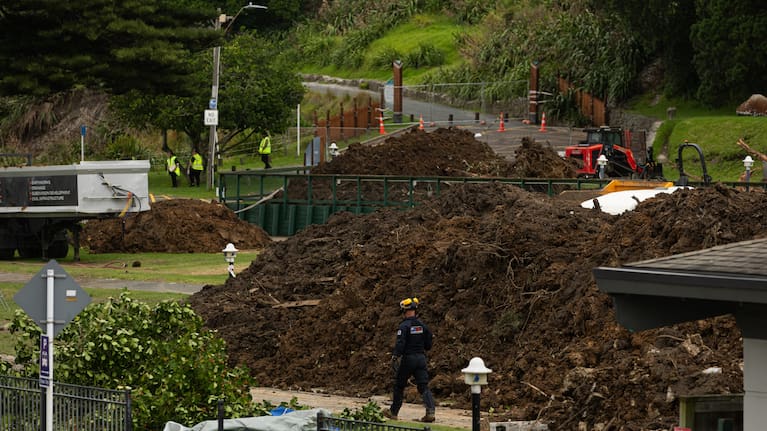 Emergency services at the scene in Mount Maunganui.
