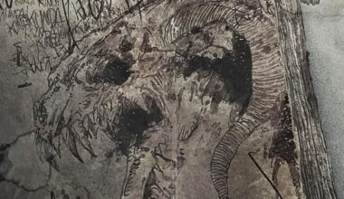 'Evil Dead Burn' Director Shares a Look Inside the Necronomicon