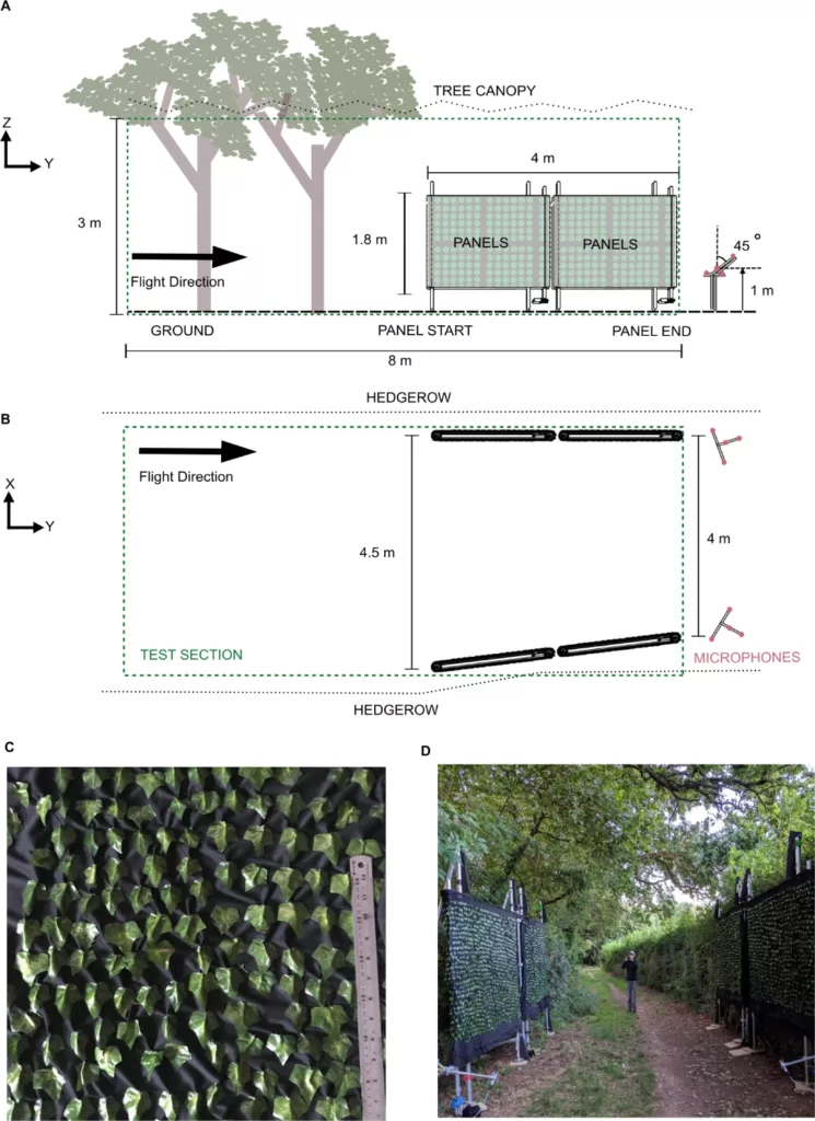 Experimental set-up. (A) Side and (B) top view drawings of the experiment showing positions of the panels and microphones (red circles, on microphone arrays) relative to the test section (green dashed line) and the surrounding environment (hedgerows, ground and tree canopy). Central microphone was 1 m above the ground and arrays were tilted at 45°. (C) Image of acoustic reflectors (plastic ivy) attached onto Lycra sheet at <5 cm separation. (D) Fully assembled set-up in the field.
