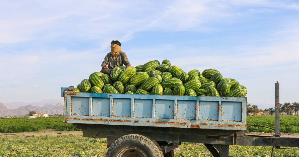 Can Iran's plan for a $7 monthly cash handout calm the streets? - ایران اینترنشنال