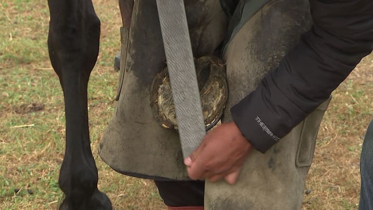 Te Puna Wai offers opportunities through hands-on work. 