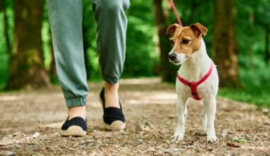 The biggest headaches at Auckland's regional parks