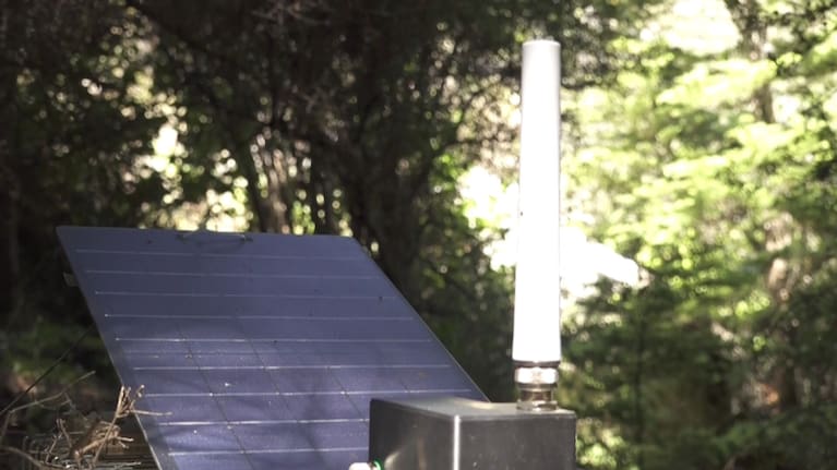 The live AI cameras stand atop a box trap.