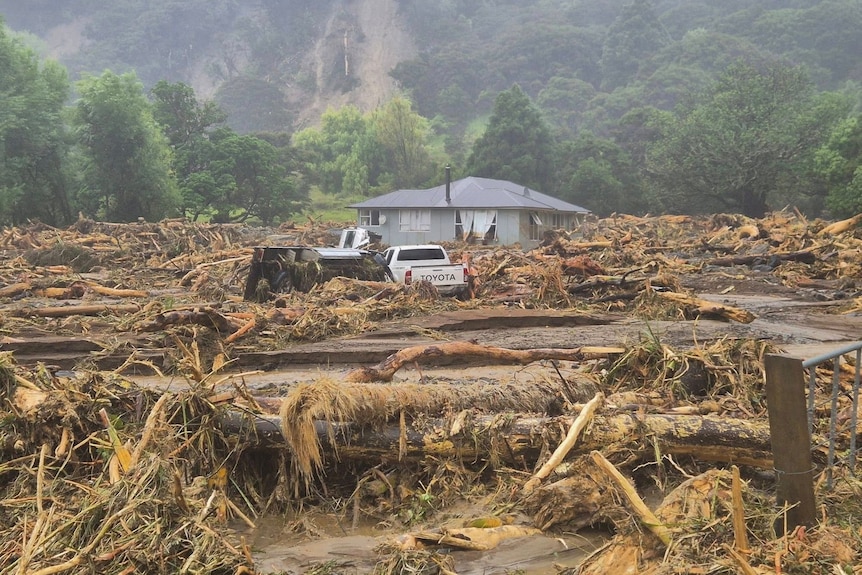 Trees and debris surround two cars and a house after a flood