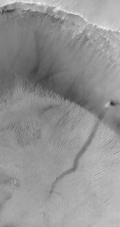 An overhead photo of a storm moving across the Martian surface, trailing a dark line.
