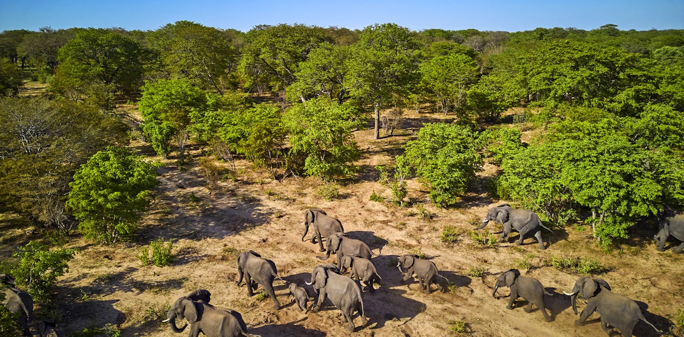 who is in danger, where and why?