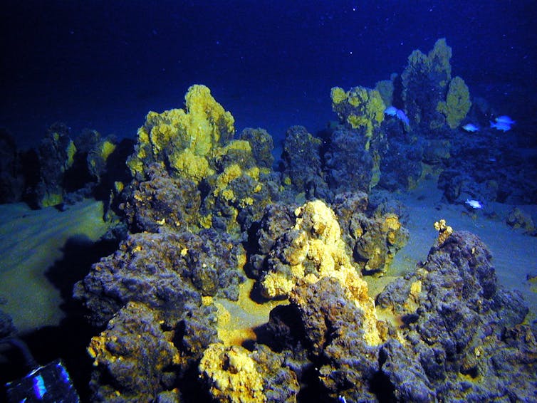 Underwater mounts on the seafloor covered in gold minerals.