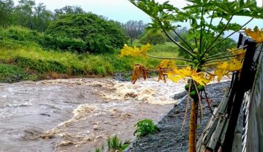 UPDATE: Flood advisory extended until 1:45 p.m. today for southeast Big Island : Big Island Now