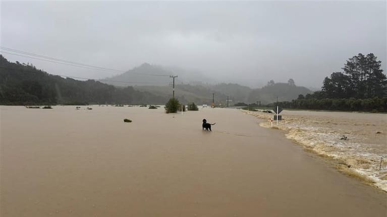 Flooding at State Highway 25 close to Ocean Beach Rd in Tairua.