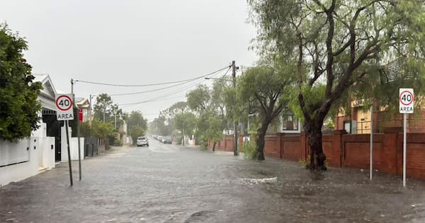 One dead, dozens rescued from floodwaters in parts of Sydney