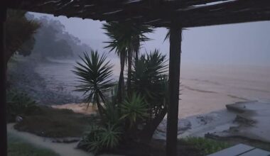 'We've had a garden hose – now we'll have a fire hose'