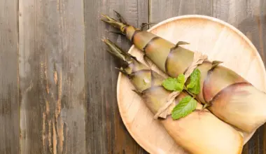 Scientists are rethinking bamboo as a powerful new superfood