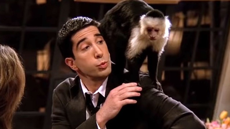 Ross (David Schwimmer) with a monkey on his shoulder on 