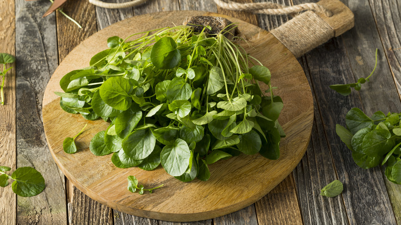 A bunch of watercress sitting on a round wooden cutting board with handle