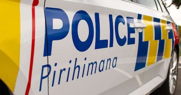 Pedestrian injured, police car rammed in Nelson hit‑and‑run incident