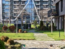 Daylight, telephoto cameras: Honor Magic8 Pro (3.7x) - 85mm, f/2.6, ISO 50, 1/160s (4080x3072px) - Honor Magic8 Pro vs. Oppo Find X9 Pro vs. vivo X300 Pro