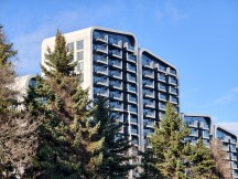 Daylight, telephoto cameras: vivo X300 Pro (3.5x) - 85mm, f/2.7, ISO 50, 1/188s (4080x3072px) - Honor Magic8 Pro vs. Oppo Find X9 Pro vs. vivo X300 Pro