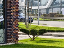 Daylight, telephoto cameras: vivo X300 Pro (7x) - 170mm, f/2.7, ISO 117, 1/100s (4080x3072px) - Honor Magic8 Pro vs. Oppo Find X9 Pro vs. vivo X300 Pro