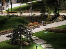 Low light, telephoto cameras: Honor Magic8 Pro (3.7x) - 85mm, f/2.6, ISO 3200, 1/12s (4080x3072px) - Honor Magic8 Pro vs. Oppo Find X9 Pro vs. vivo X300 Pro