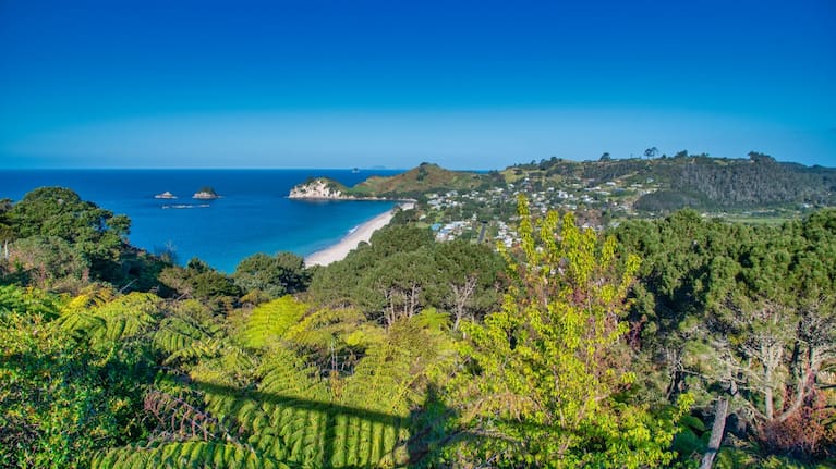 Hahei beach in the Coromandel.
