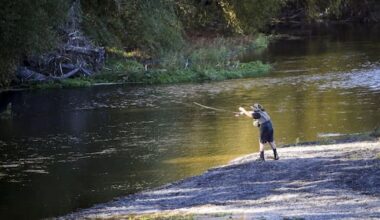 Hawke's Bay swimmers urged to check rivers for toxic algae
