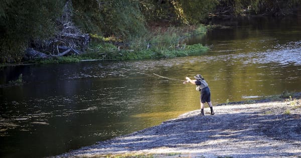 Hawke's Bay swimmers urged to check rivers for toxic algae