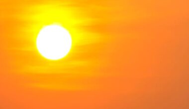 Roads melt as temps soar but WA locals keep their cool