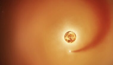 Betelgeuse's elusive co-star left a trail of clues for astronomers