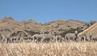 2025 fourth-warmest year on record