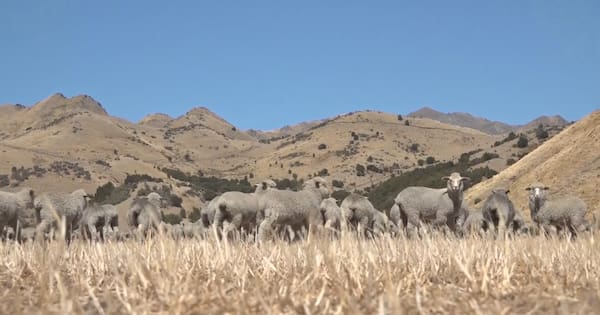 2025 fourth-warmest year on record