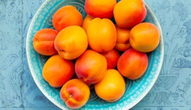 Yes, Fruit Has Protein—Here Are 14 Surprisingly Satisfying Picks