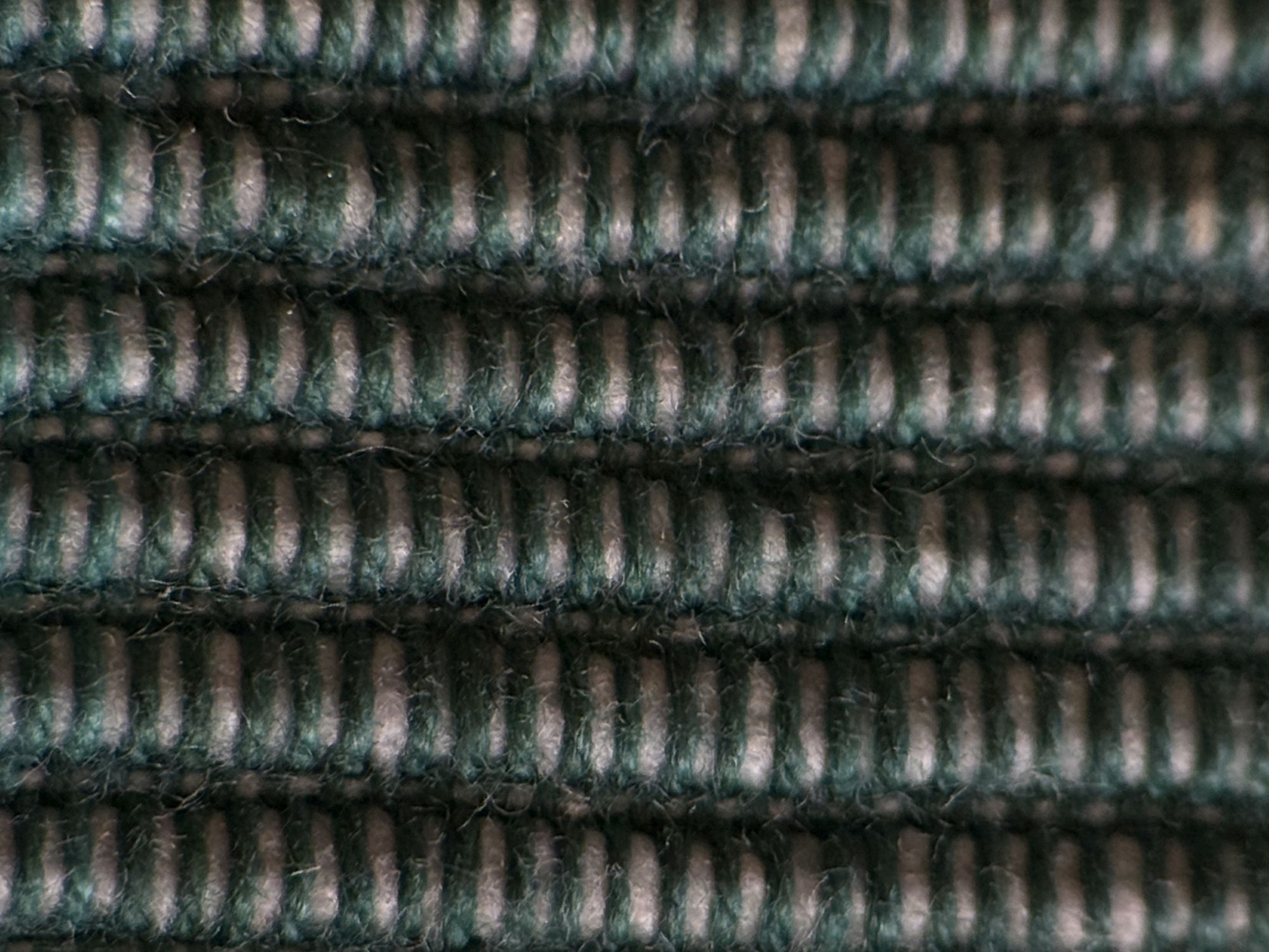 Shiftcam 240mm Super Zoom Tele macro sample.