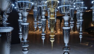 Ranbir Sidhu No Limits Art Gallery of Ontario