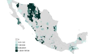 Mexico measles continue into 2026, reporting 500 confirmed cases in first two weeks