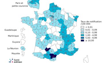 Measles in France 2025 - by Robert Herriman
