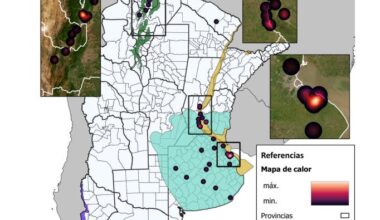 Hantavirus in Argentina 2025 - by Robert Herriman