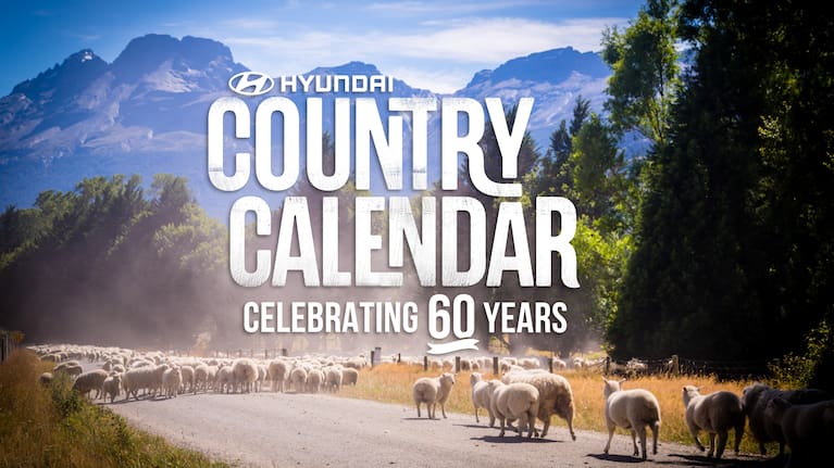 Hyundai Country Calendar will celebrate an extraordinary 60 years as New Zealand’s most beloved television series.