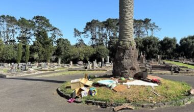 Frustration after 'appalling' dumping at south Auckland cemetery