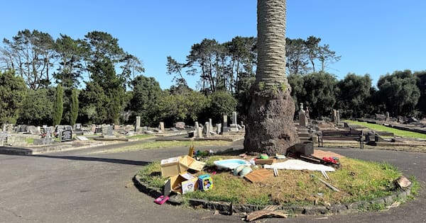 Frustration after 'appalling' dumping at south Auckland cemetery