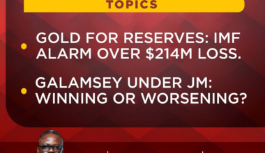 Newsfile to discuss over $214m loss in Gold-for-Reserves and galamsey fight under Mahama