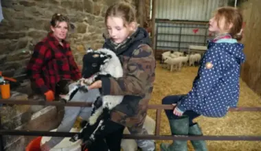 Inside Episode 1 of ‘Our Farm Next Door’: Amanda, Clive & Kids Unveiled