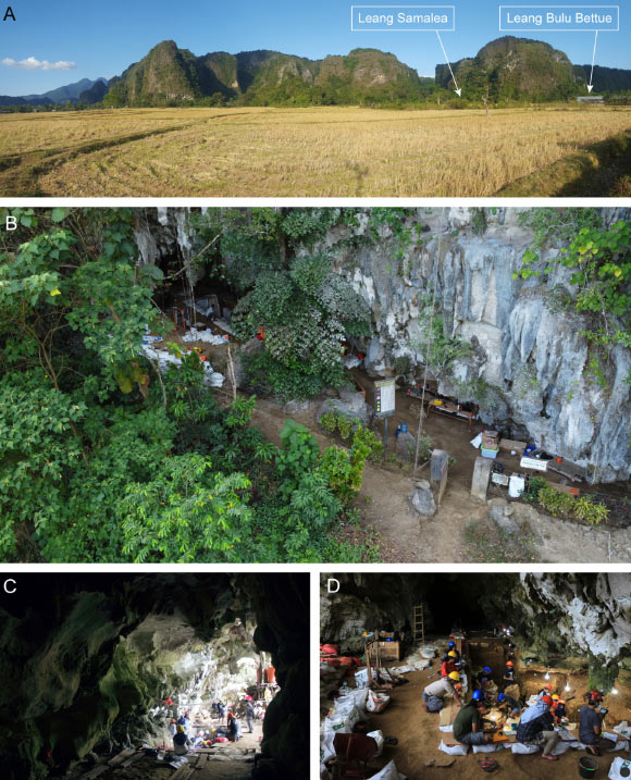 Leang Bulu Bettue in the Maros-Pangkep karst area of South Sulawesi. Image credit: Burhan et al., doi: 10.1371/journal.pone.0337993.