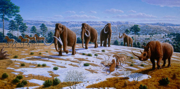 This image depicts a Pleistocene landscape in northern Spain with woolly mammoths (Mammuthus primigenius), equids, a woolly rhinoceros (Coelodonta antiquitatis), and European cave lions (Panthera leo spelaea) with a reindeer carcass. Image credit: Mauricio Antón.