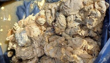 Wipes and rocks wreaking havoc on Tasman's wastewater